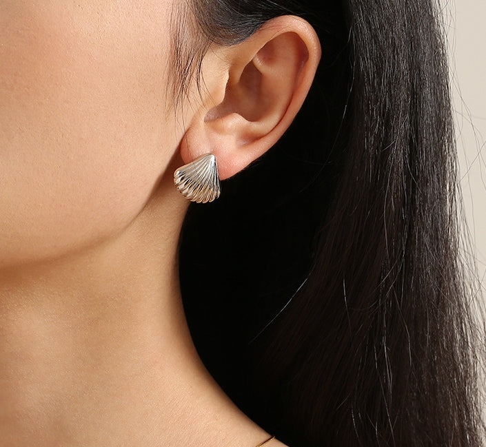 Seashell Earrings